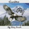 Fly (feat. Cambino) - Big Baby Smash lyrics
