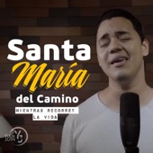 Santa María del camino (Mientras recorres la vida) artwork