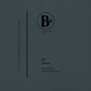 Polished Past - Single