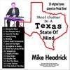 Steel Guitar in a Texas State of Mind