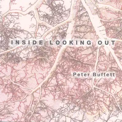 Ouça Inside Looking Out de Peter Buffett.
