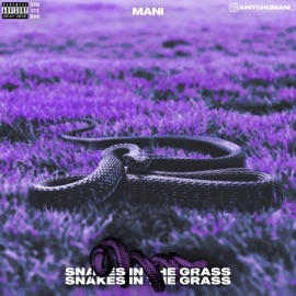 Ocean Eyes (feat. Rosey) Mani