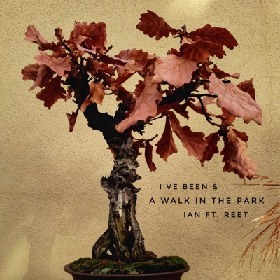 A Walk in the Park // I've Been - Single