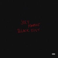 Black Fist - Joey Maurice