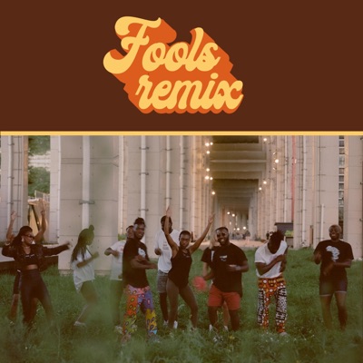 Fools (Remixes) - EP
