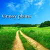 Tensefish - Grassy Plains