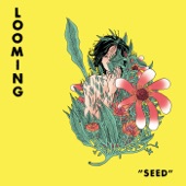 Looming - Seed