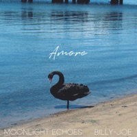 Amore - Single - Moonlight Echoes & Billy-Joe