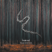 Through Shaded Woods (Deluxe Edition) - Lunatic Soul