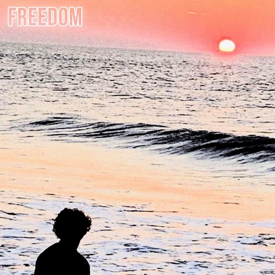 Freedom (feat. thatmusickidaiden, JimiJack & Thomas Cloud III) - Single