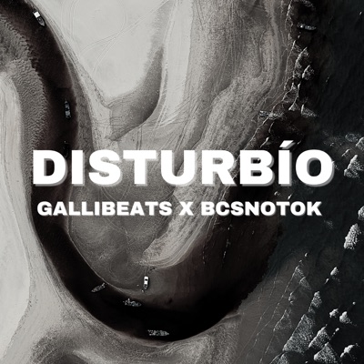 Disturbío (feat. BCSNOTOK) - Single