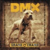 DMX