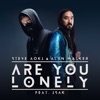 Steve Aoki & Alan Walker