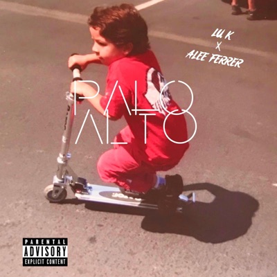 Palo Alto (feat. Alee Ferrer) - Single