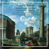 Concerto for 2 Horns in F Major, C. 60/K. III:52: II. Andante artwork
