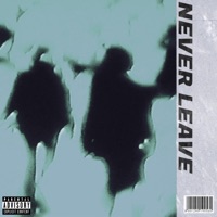 NEVER LEAVE (feat. Fayd & Palmz) - Single - IBC