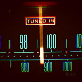 Tuned In B-Vicious