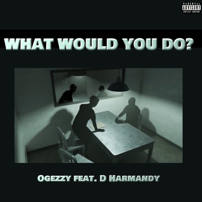 WHAT WOULD YOU DO (feat. D Harmandy) - Single