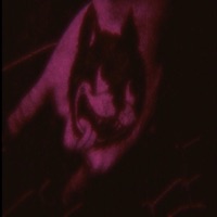 Enzo - Single - EDLOUIS