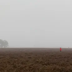Escucha a FOLIO, mira videos musicales, lee su biografía, consulta las fechas de las gira y más.