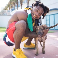 Wild Life - Single - Dandre