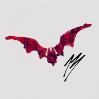 13 - Single - Jamule & Chilla