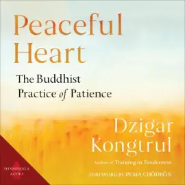 Peaceful Heart: The Buddhist Practice of Patience (Unabridged)