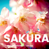 Sakura Bgm, Instrumental Related to Sakura - Various Artists