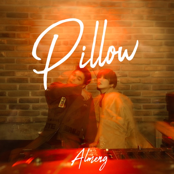 Pillow - Single
