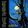 Fear of the Dark by Iron Maiden