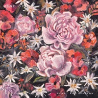 Wendigo - Penny & Sparrow