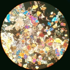 Drawn To J. Moriarty