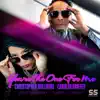 Christopher Williams, Carolyn Griffey, Steve "Silk" Hurley, DJ Skip & Zonum - You're the One For Me (Shane D Remix)