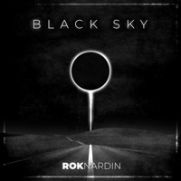 Black Sky - Single - Rok Nardin