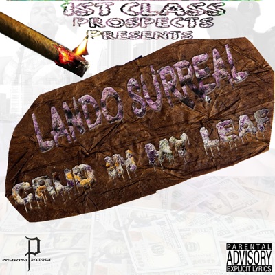 Crud in My Leaf