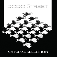 Dodo Street - Natural Selection artwork