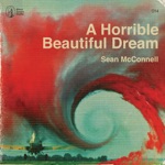 Sean McConnell - What the Hell is Wrong with Me (feat. Fancy Hagood)