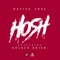 Hosh (feat. Golden Krish) - Native Soul lyrics