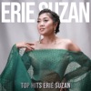 Top Hits Erie Suzan
