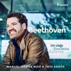 Beethoven: Un Viaje / Eine Reise / A Journey