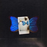 Maintain - Single - LONGLIVEAPOLLO