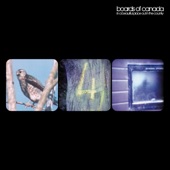 Kid for Today by Boards of Canada