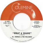 What a Shame - Single