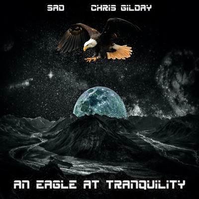 An Eagle at Tranquility - Single