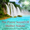 Dawn Birdsong For Relaxation - Life Sounds Nature