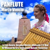 Panflute artwork