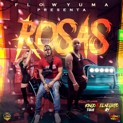 Rosas (feat. negrito 01) - Single