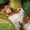 Anastacia - Album Heavy Rotation - I Can Feel You