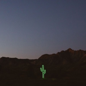 Open Skies (Wildflower) - Single