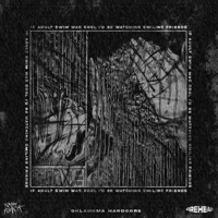 if adult swim was cool i'd be watching smiling friends (feat. Trash Punch) - Single - Firehead